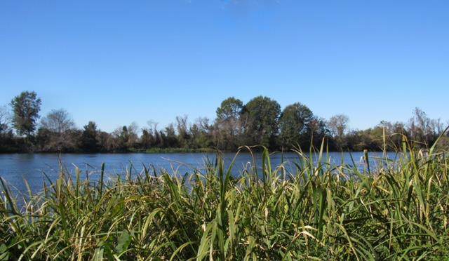 Lot 41 Riverside Plantation Road - Photo 1