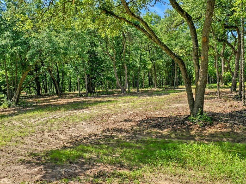 Parcel 3 Old Dibble Road - Photo 1