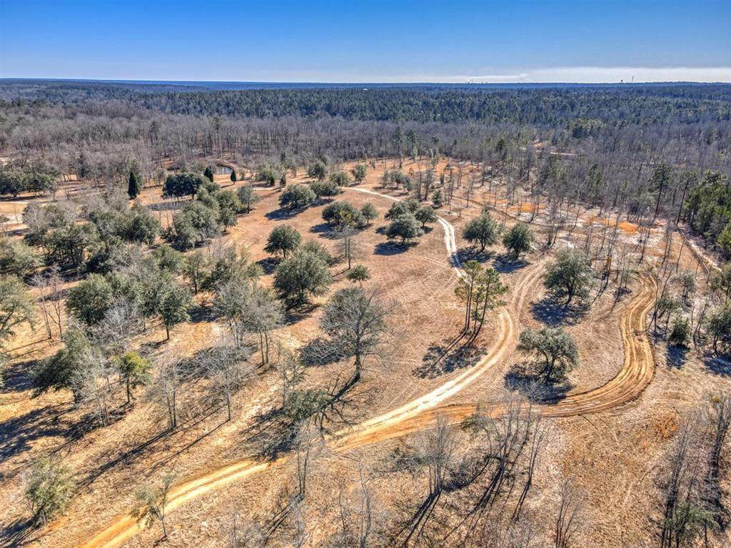 Parcel 5 Lewis Lane - Photo 1