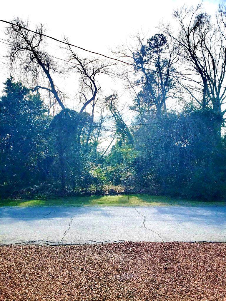 00 Mims Avenue - Photo 1