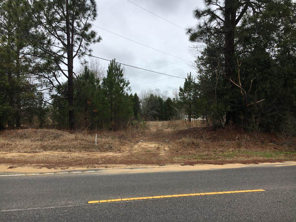 3049 Old Camp Long Road - Photo 1