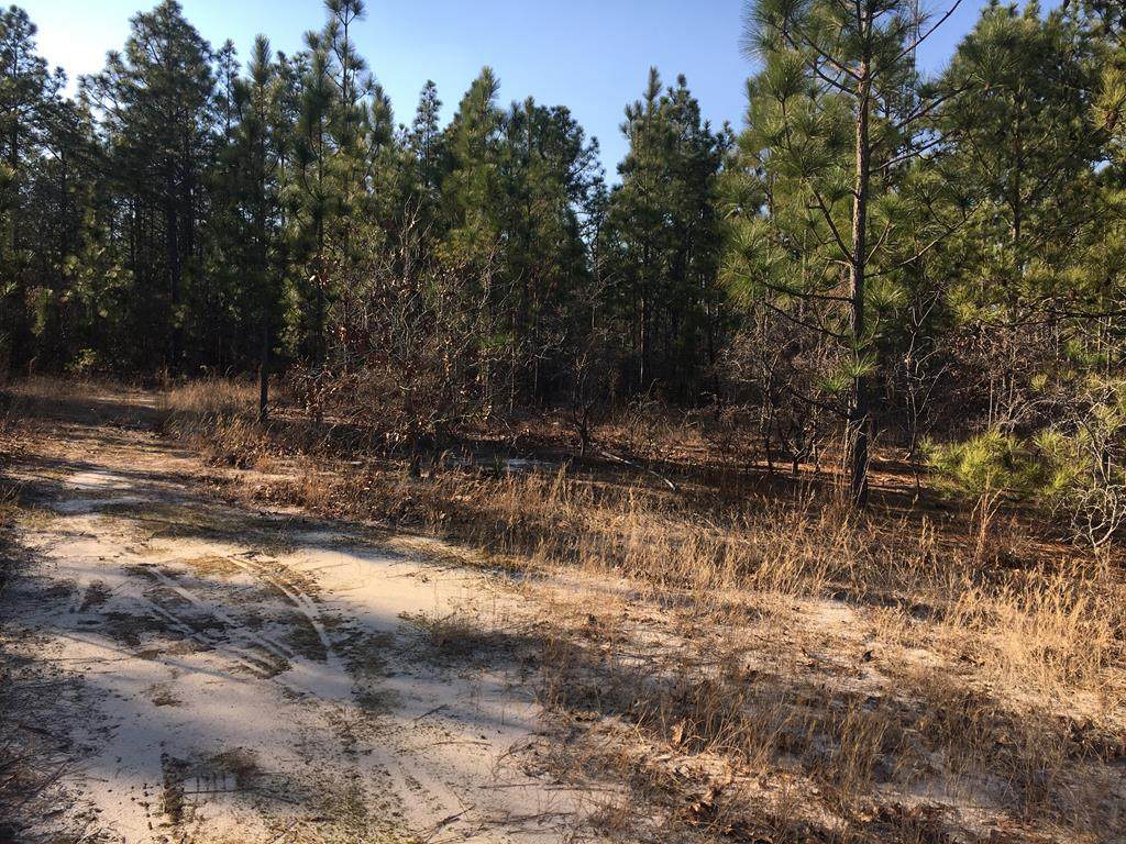 197 Molly Drive - Photo 1
