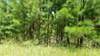 Lot 21 Anderson Pond Road - Photo 1