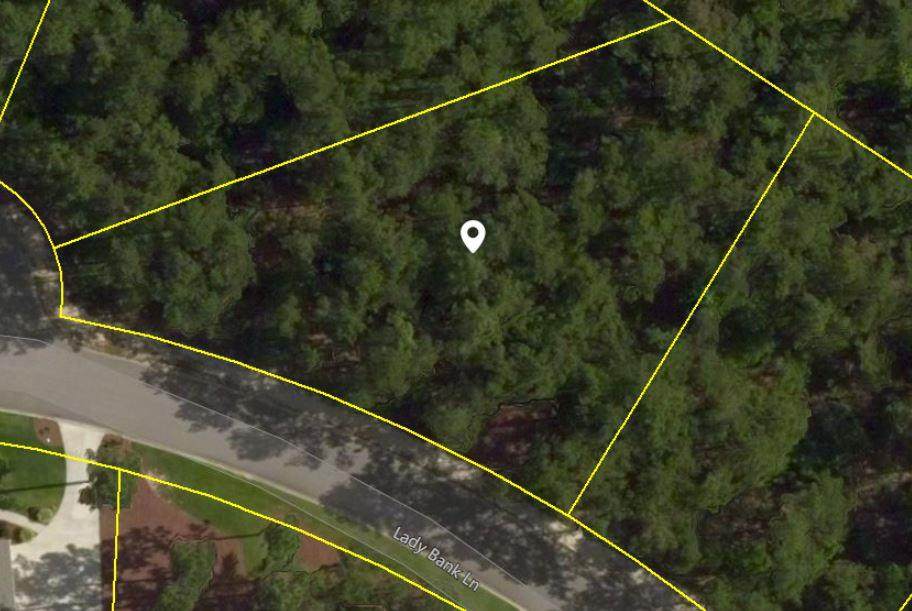 000 Lady Bank Lane - Photo 1