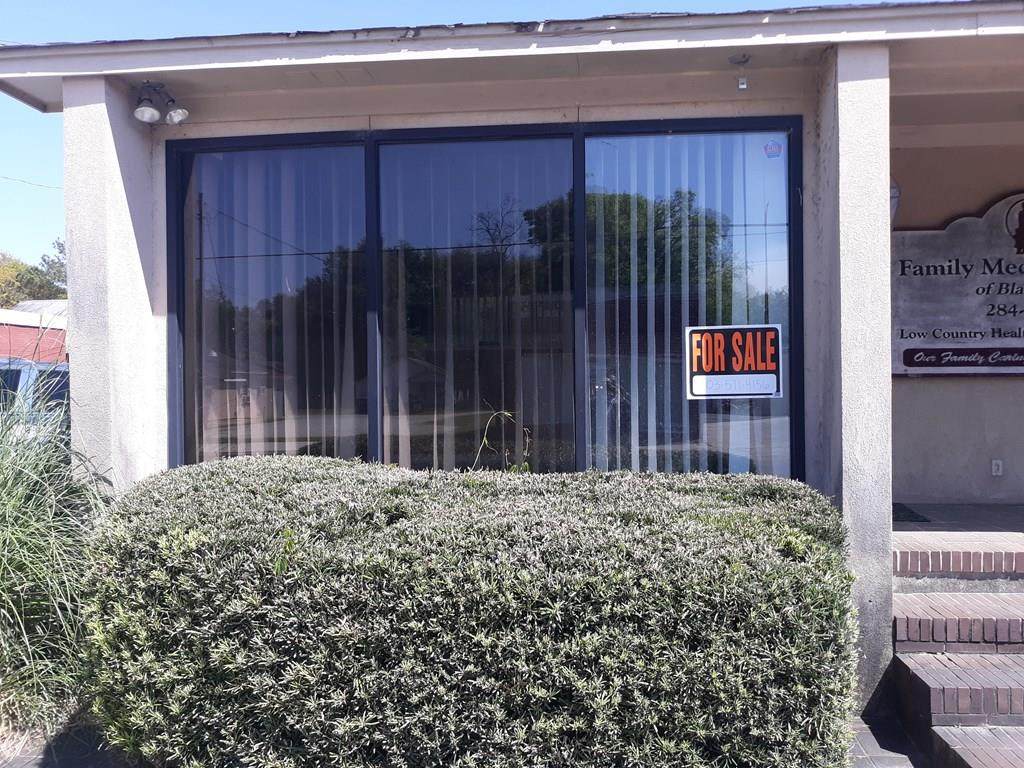 19583 Soloman Blatt Avenue - Photo 1