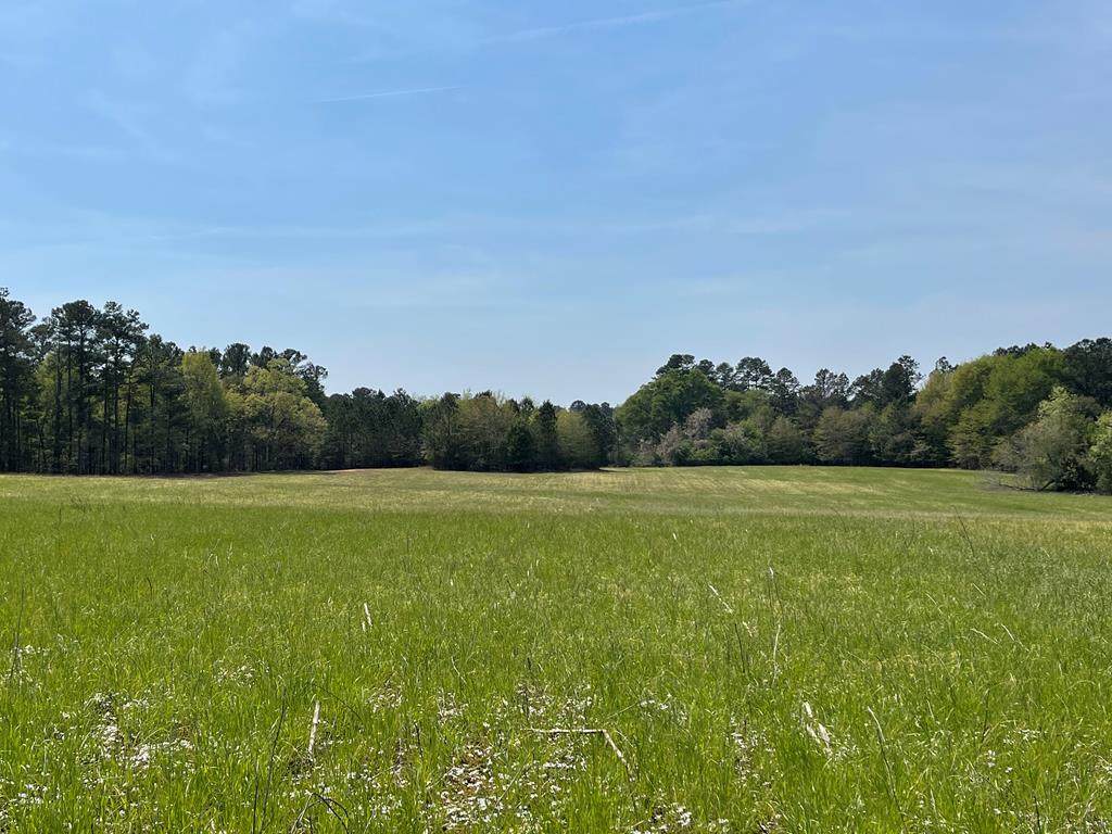 00 Banks Mill Road - Photo 1