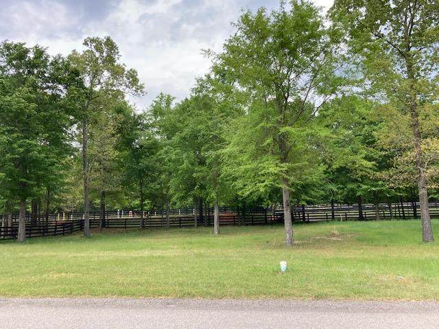 162 Lot 1 Buckhar Lane - Photo 1