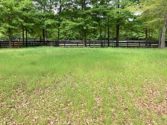 168 Lot 2 Buckhar Lane - Photo 1