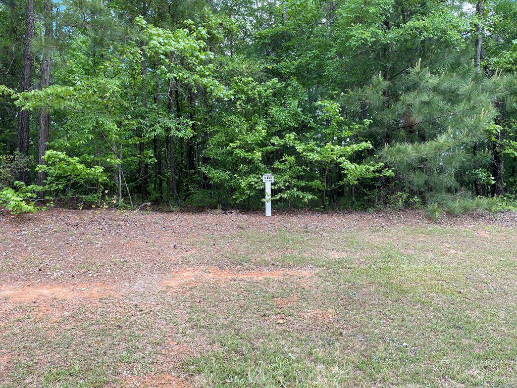 Lot N-19 Captain Johnsons Drive - Photo 1