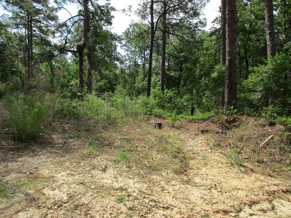 119 Plainview Drive - Photo 1