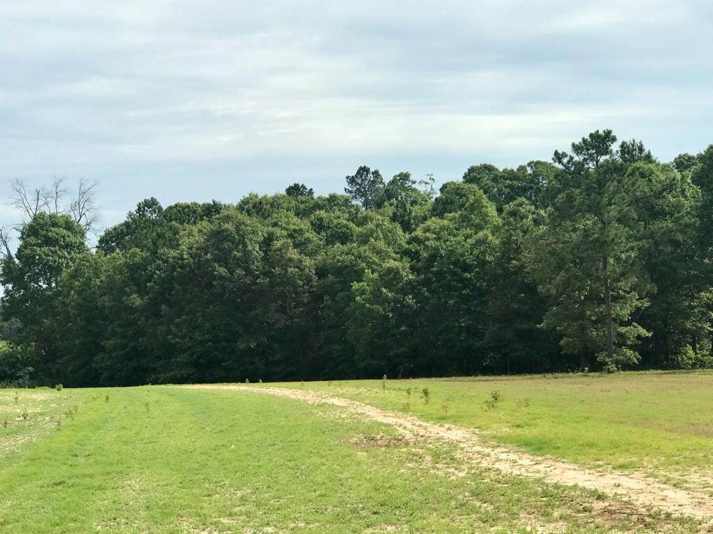 0 Shell Stone Trail - Photo 1