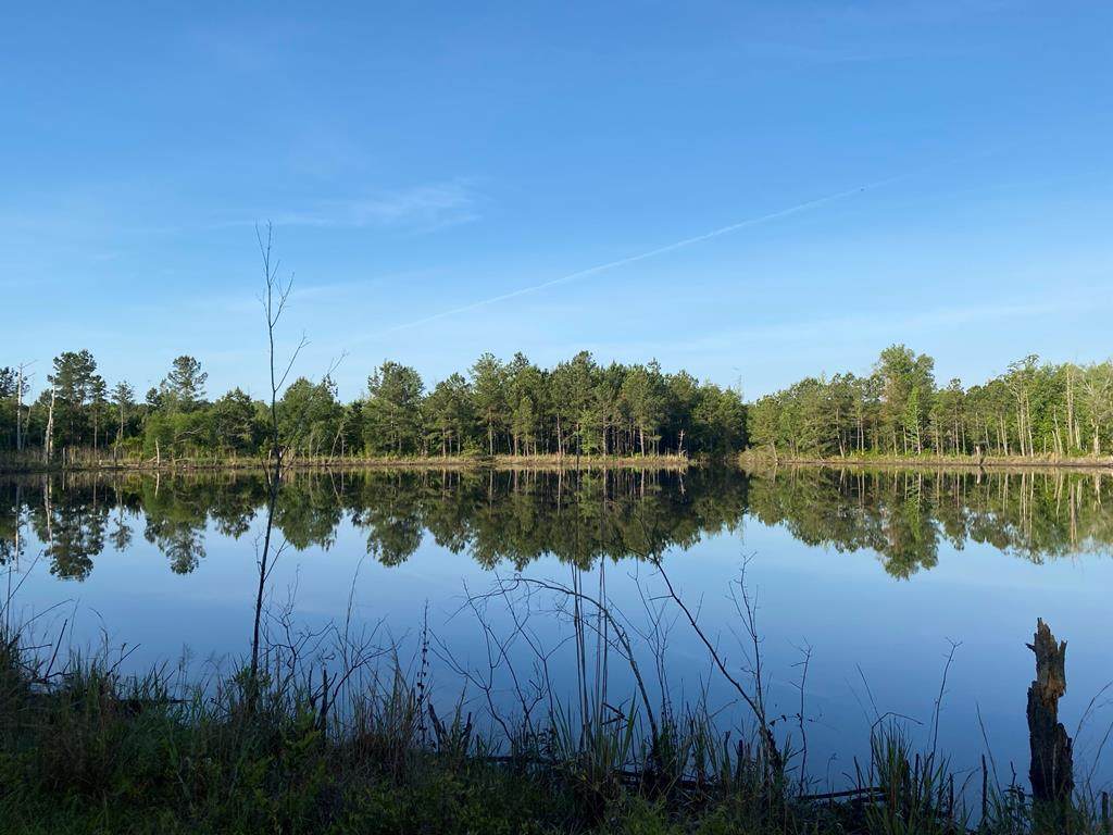 TBD Indian Trail Road - Photo 1