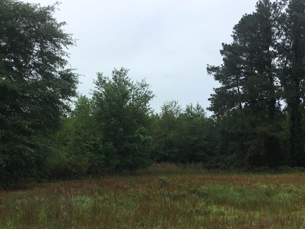 TRACT 3 Jerusalem Branch Road - Photo 1