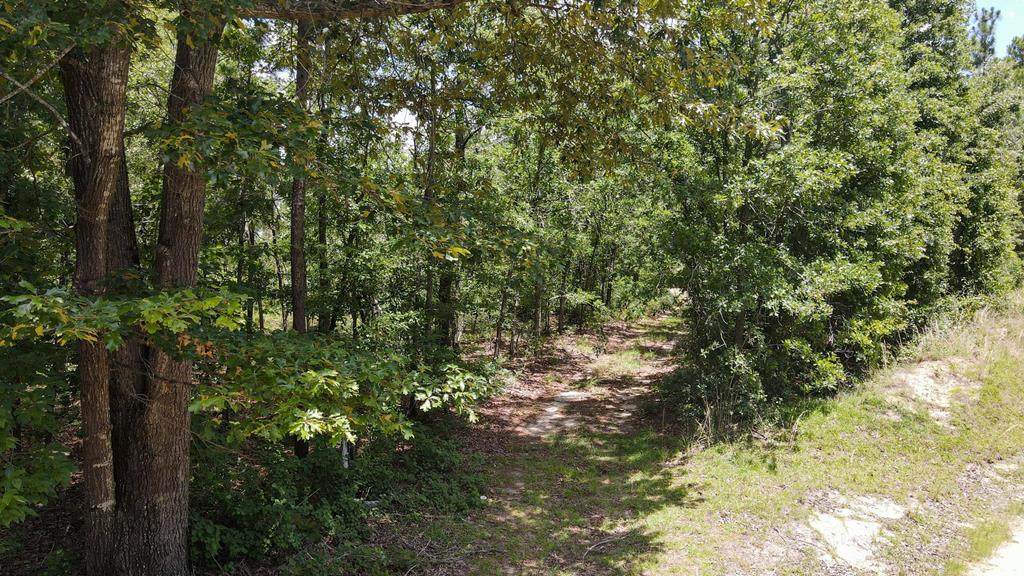 174 Hard Luck Lane - Photo 1