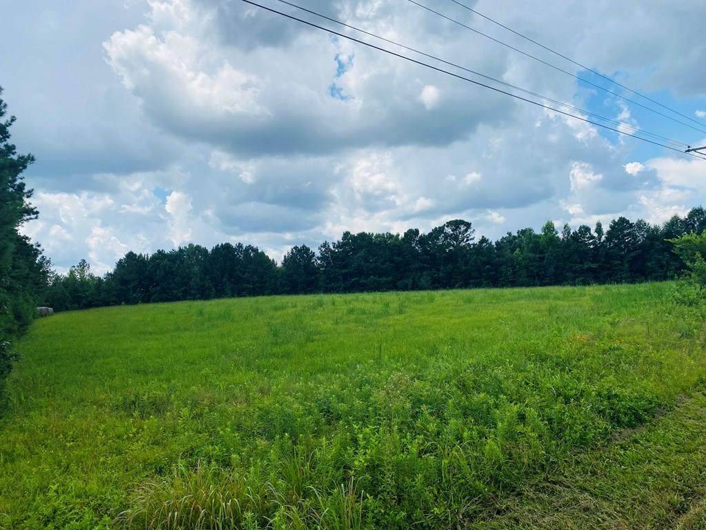 971 Us Highway 378 E - Photo 1