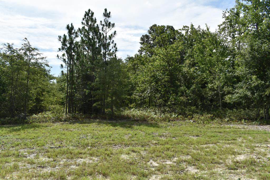 Lot 4 Centerwood Road - Photo 1