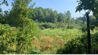 00 Carolina Springs Spur Road - Photo 1