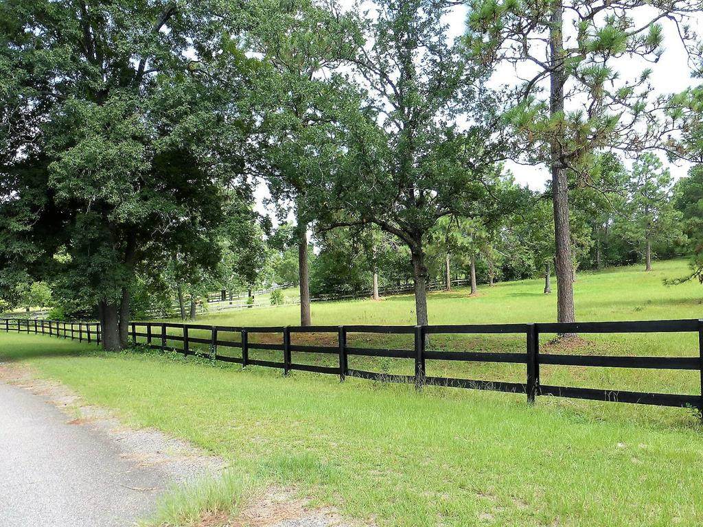 1214 Hunt Cliff Trace - Photo 1