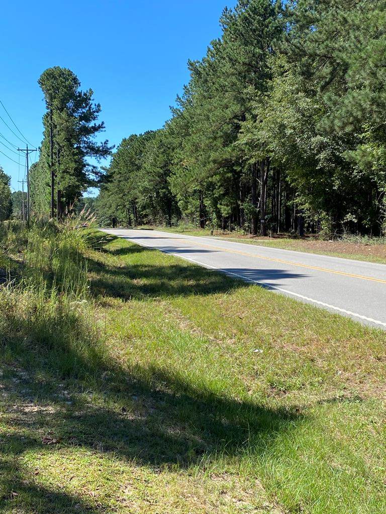 00 Reynolds Pond Road - Photo 1