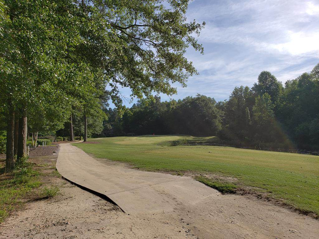 146 Long Shadow Drive - Photo 1