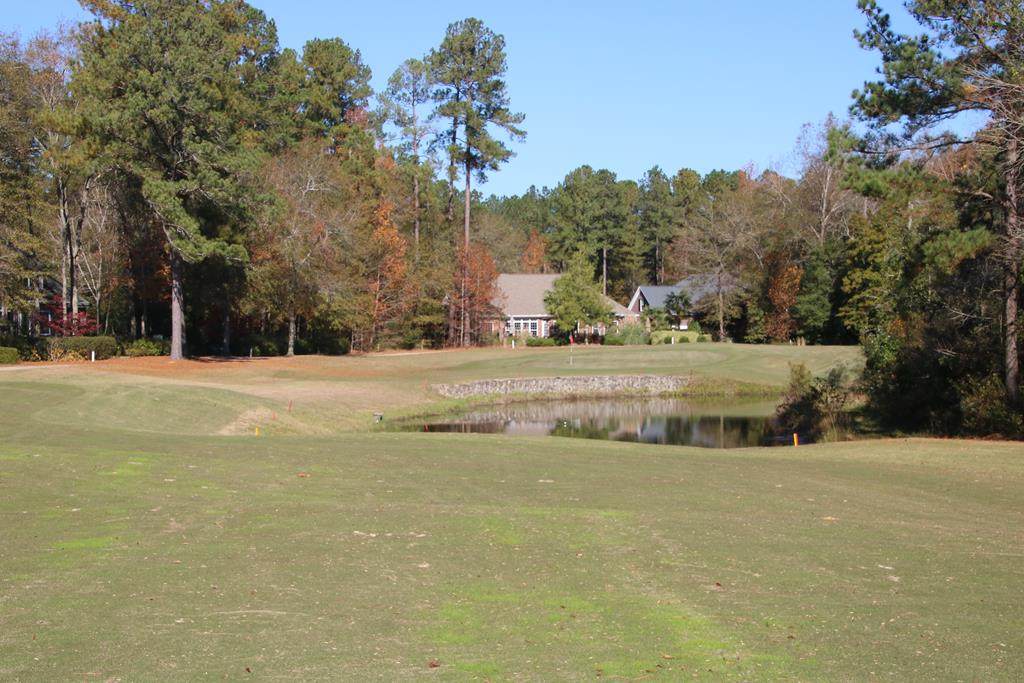 138 Long Shadow Drive - Photo 1