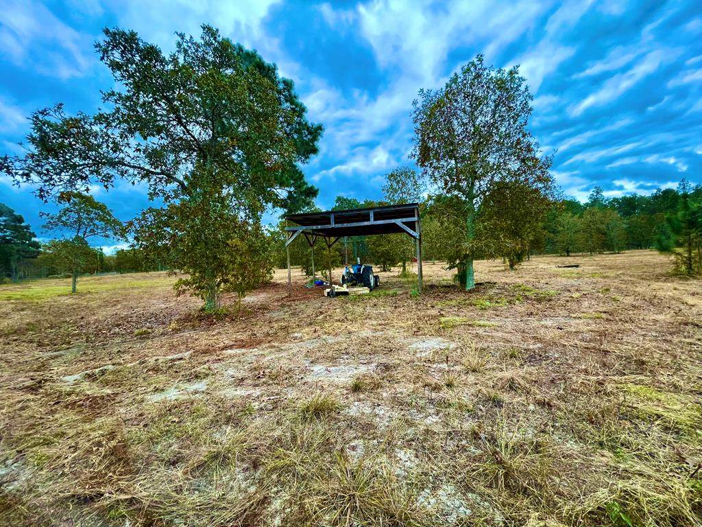 497 Pearl Bonnett Road - Photo 1