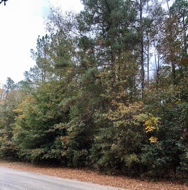 Lot 21 & 22 Bunker Circle - Photo 1