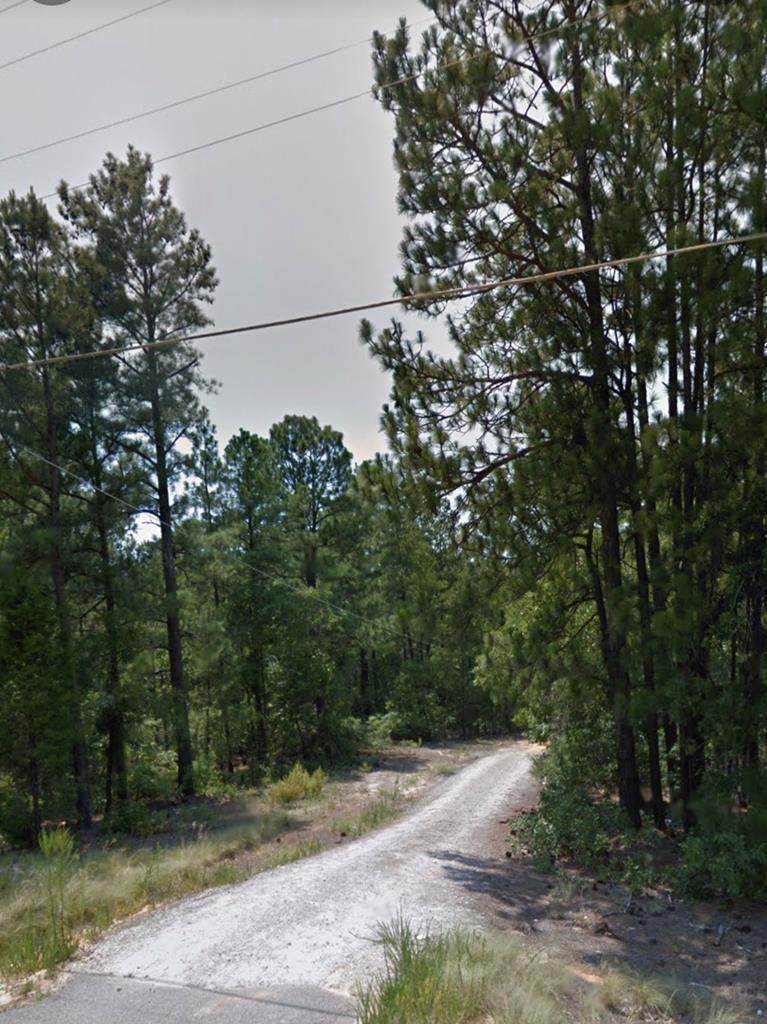 244 Fields Cemetary Road - Photo 1