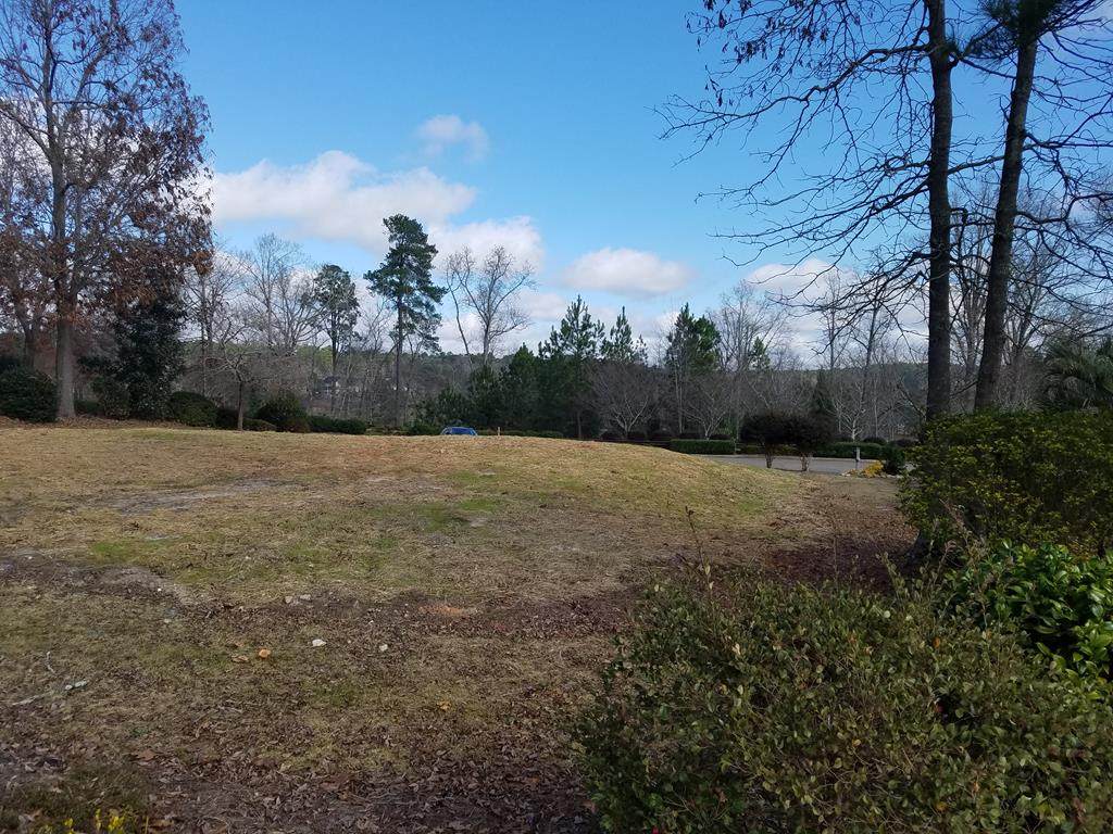 176 Foxhound Run Road - Photo 1