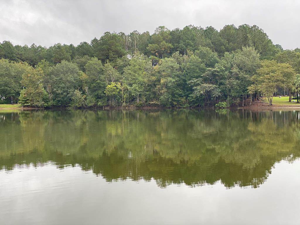 Lot 20 & 19 Anglers Bay - Photo 1