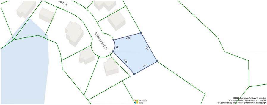 Lot 29 Birchwood Court - Photo 1