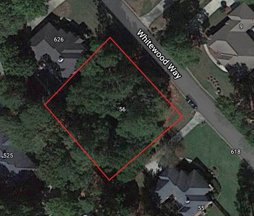 Lot 56 Whitewood Way - Photo 1