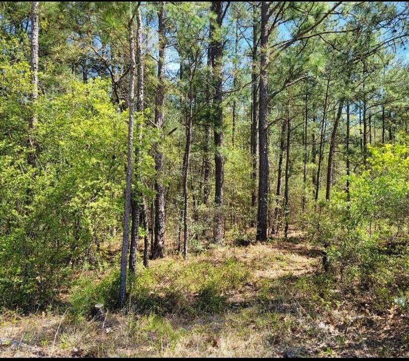 O Breeze Hill Road - Photo 1
