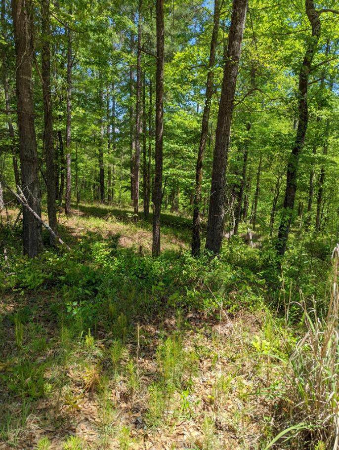 Lot O-19 Schoolhouse Lane - Photo 1