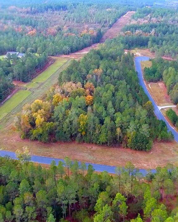 Lot 66 Lake Forest Lane - Photo 1