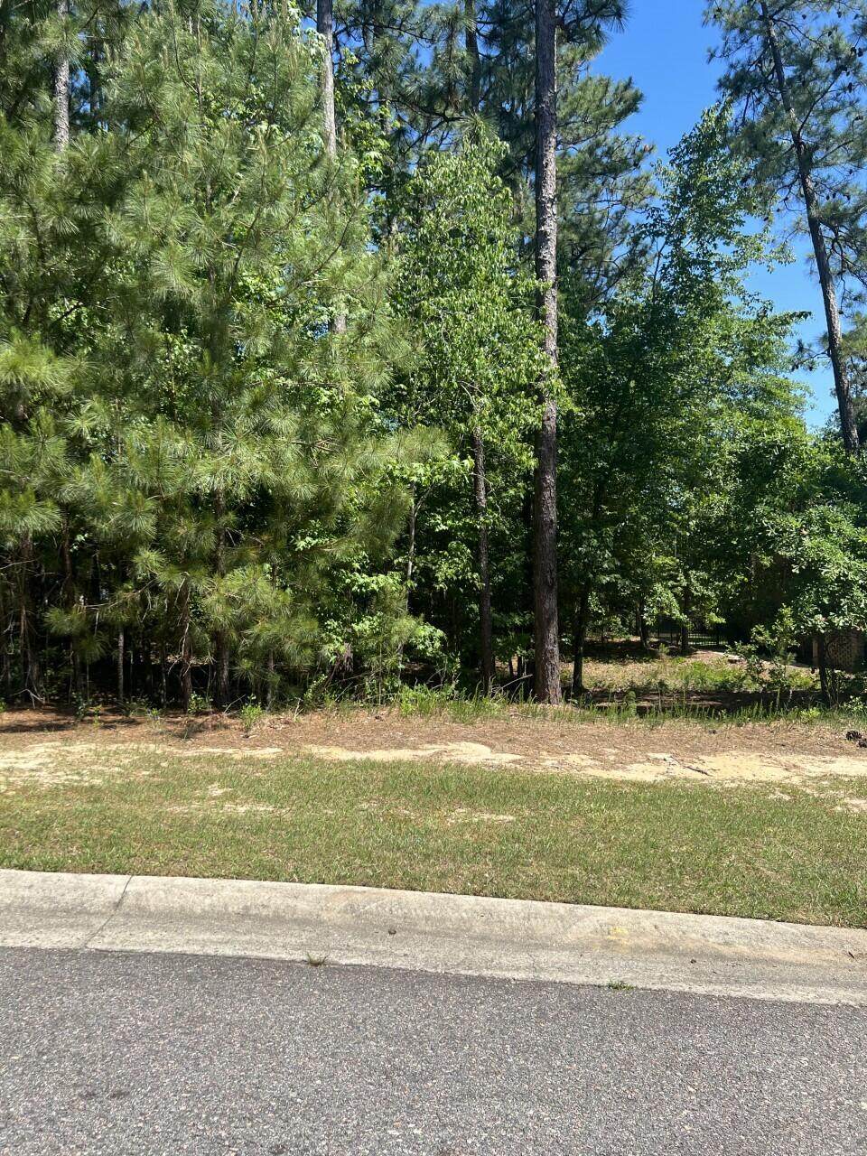 125 Golden Oak Drive - Photo 1