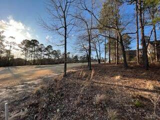 184 Foxhound Run Road - Photo 1