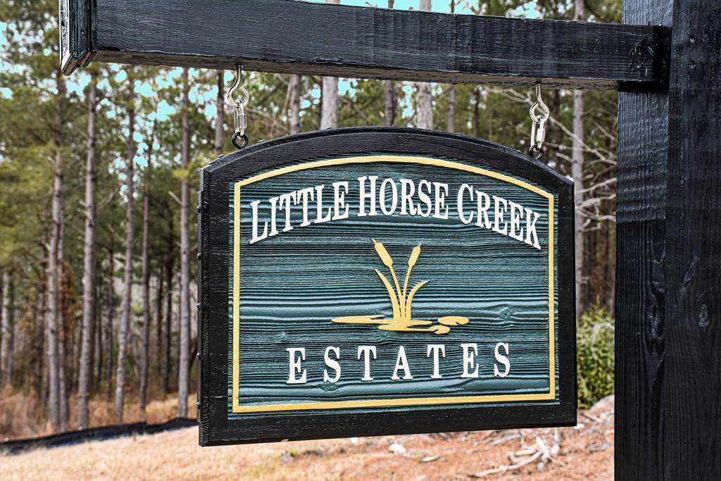 Lot 13 Little Horse Creek Drive - Photo 1
