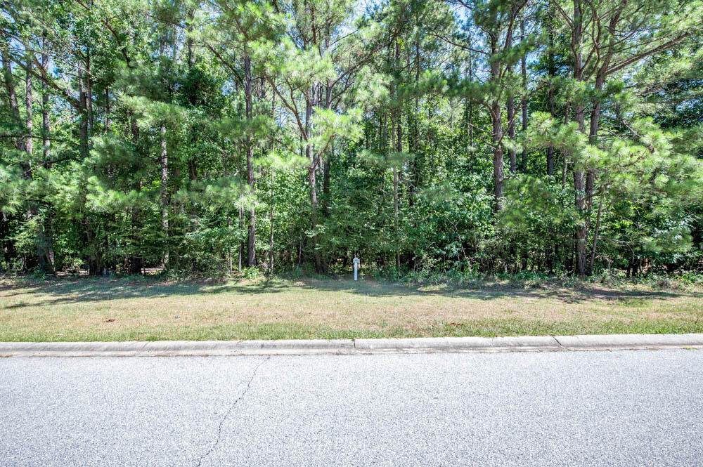 1048 Longstreet Place - Photo 1