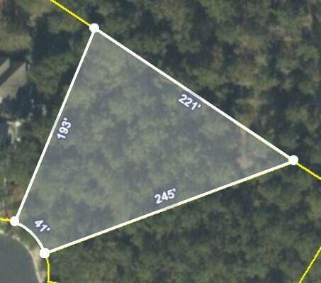 000 Lady Bank Lane - Photo 1