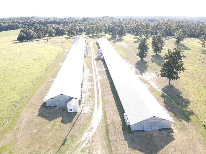 545 Bodie Road - Photo 1