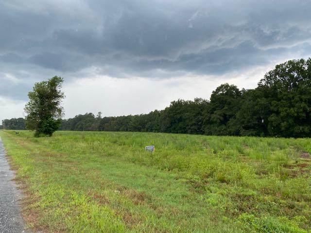 000 Rosemary Road - Photo 1