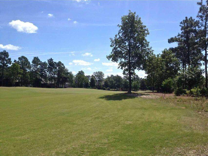 590 West Pleasant Colony Drive - Photo 1