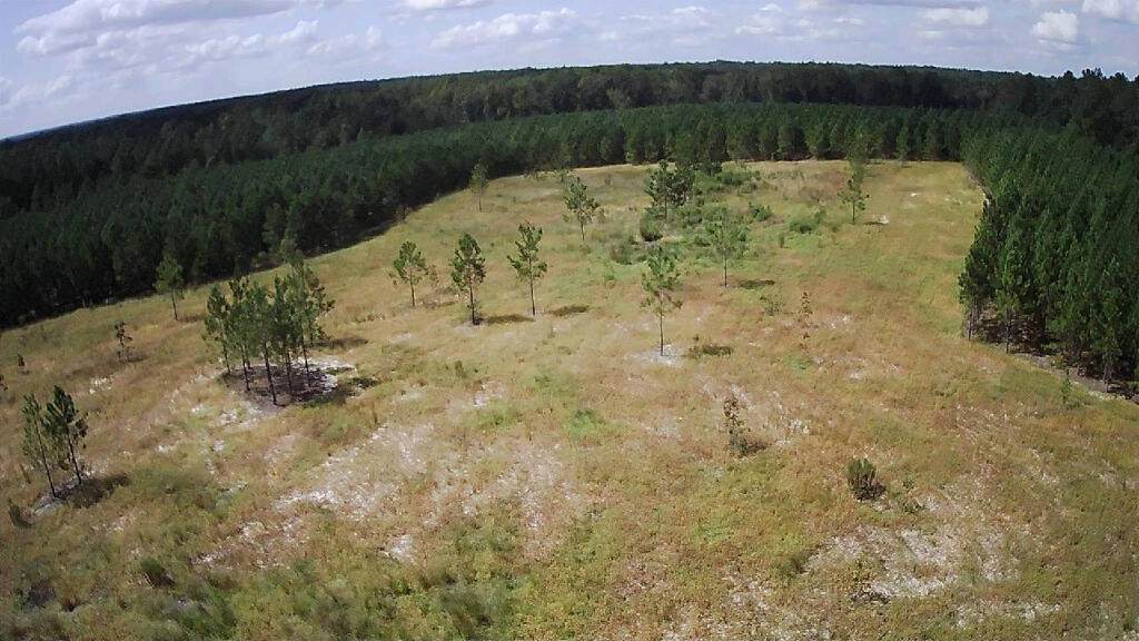 Tract A Jaywood Road - Photo 1