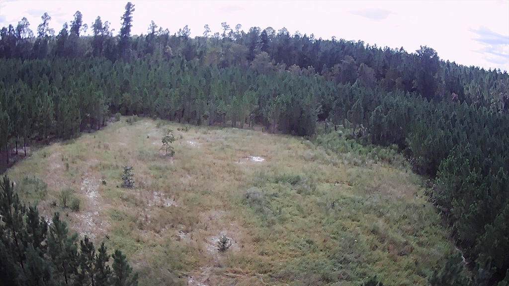 Tract C Jaywood Road - Photo 1
