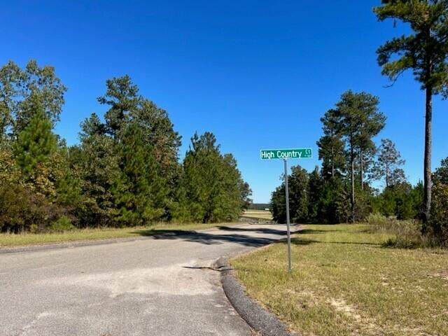 Lot 63 High Country - Photo 1