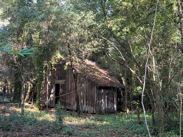 328 Hankinson Street - Photo 1