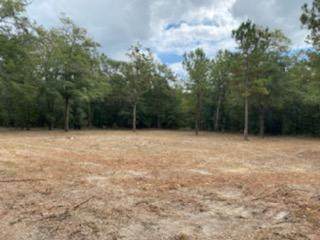 00 Seven Pines Road - Photo 1