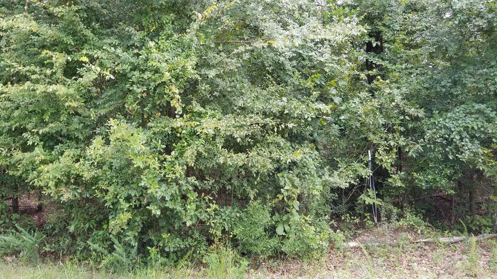 Lot 9 Pony Trail Road - Photo 1