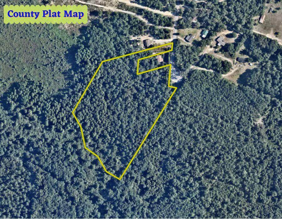 3833 Clanton Road - Photo 1
